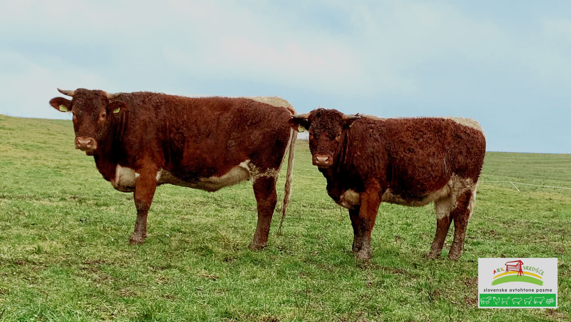 ARK središče - biodobrote.si